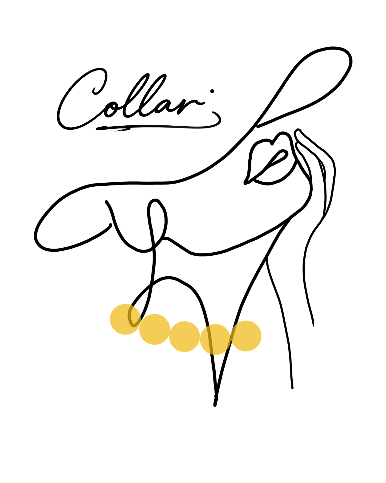 Caja Collar